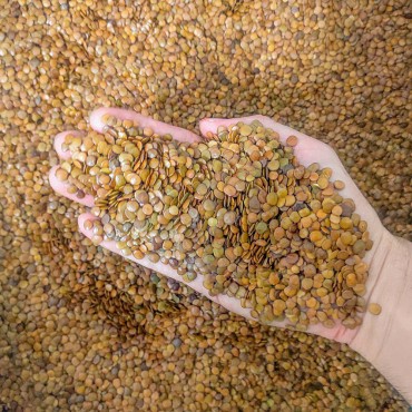 30g (1.000und) de Se...